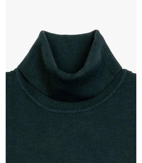 Essensial soft touch turtleneck sweater